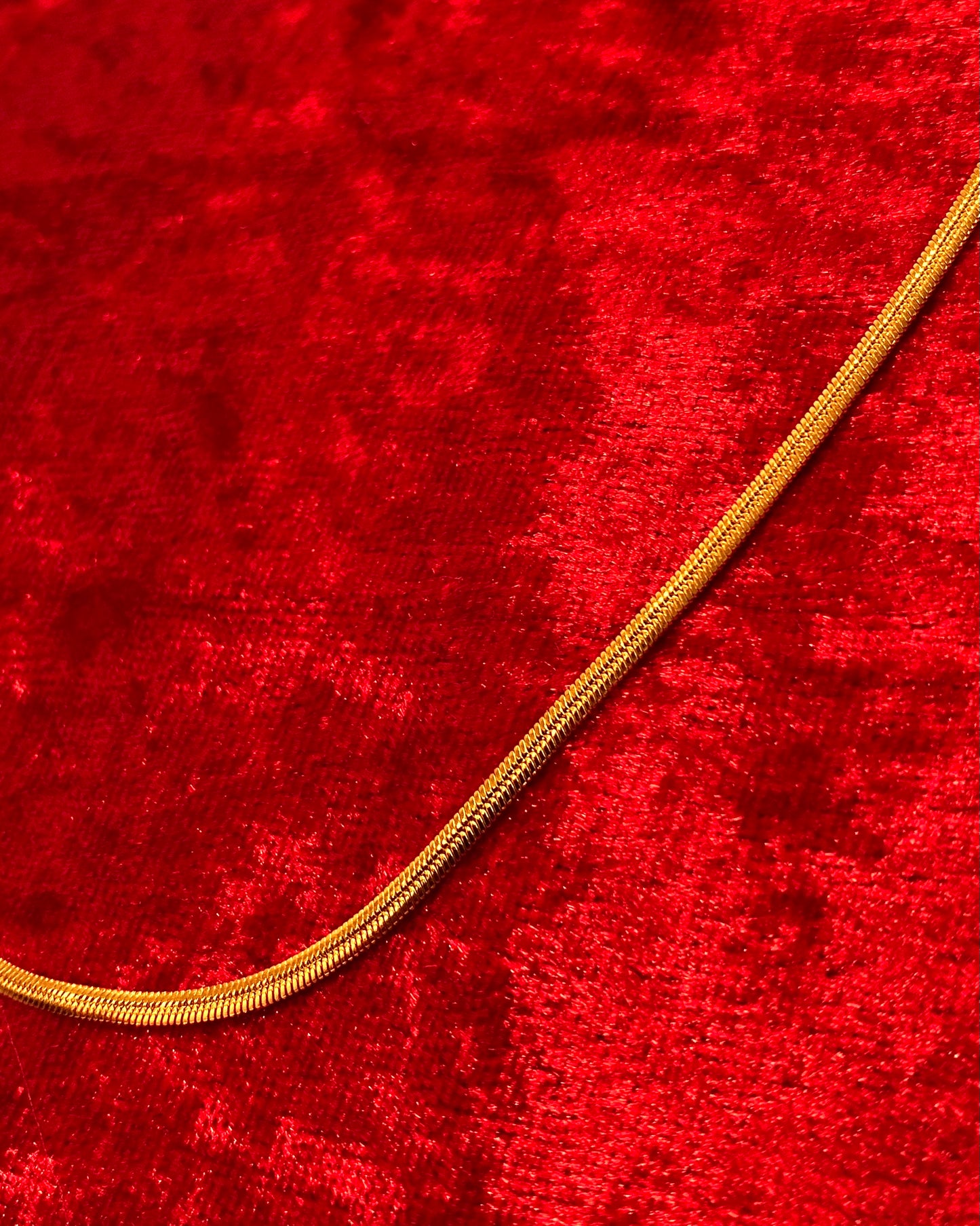 Snakebone Chain – Gold Necklace (2mm)