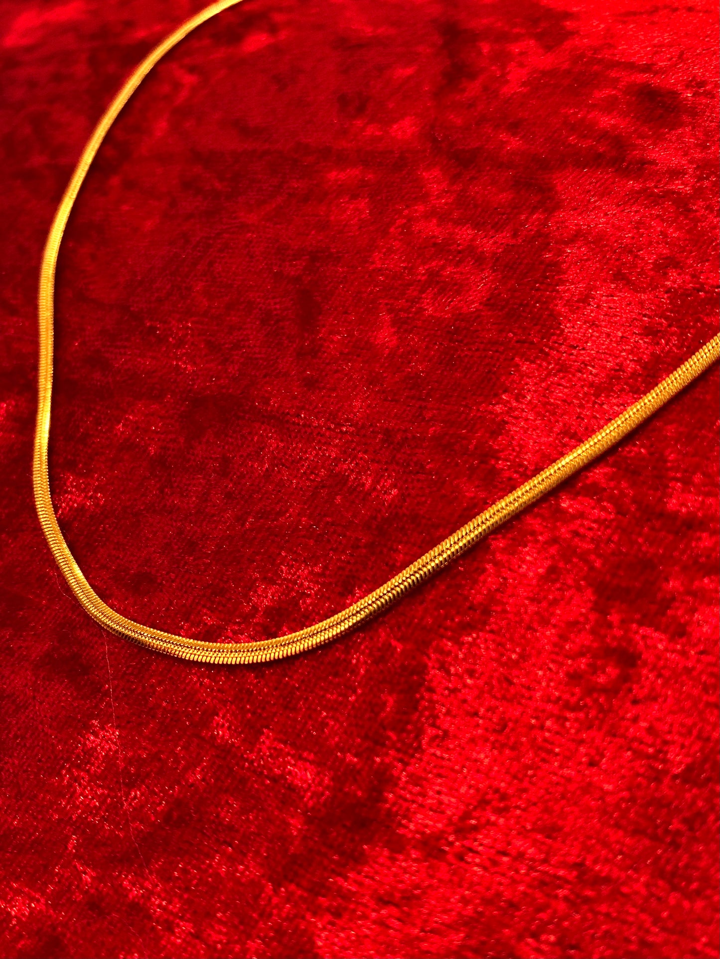 Snakebone Chain – Gold Necklace (2mm)